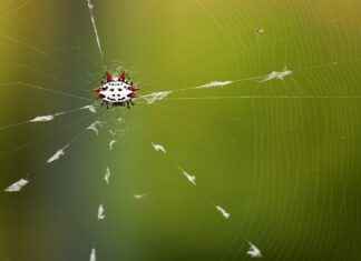 Web Geliştirici Maaşı: İnternet ve Yazılım Geliştirme Alanında Kazançlar Web Geliştirici Maaşı: İnternet ve Yazılım Geliştirme Alanında Kazançlar