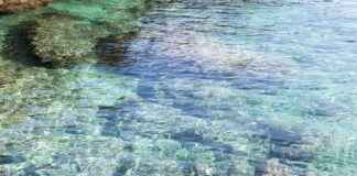 Yerel Yönetim Uzmanı Maaşı: Belediyecilik ve Kamu Yönetimi Yerel Yönetim Uzmanı Maaşı: Belediyecilik ve Kamu Yönetimi