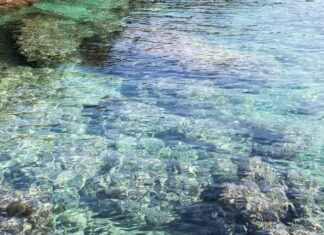 Yerel Yönetim Uzmanı Maaşı: Belediyecilik ve Kamu Yönetimi Yerel Yönetim Uzmanı Maaşı: Belediyecilik ve Kamu Yönetimi