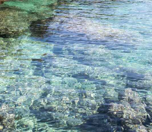 Yerel Yönetim Uzmanı Maaşı: Belediyecilik ve Kamu Yönetimi Yerel Yönetim Uzmanı Maaşı: Belediyecilik ve Kamu Yönetimi