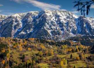 Ziraat İşçisi Maaşı: Çiftçilik ve Tarım İşçiliği Gelirleri Ziraat İşçisi Maaşı: Çiftçilik ve Tarım İşçiliği Gelirleri