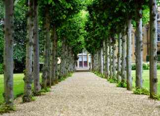 Ziraat KMH Faiz Hesaplama ile Ekstra Gelir Elde Edin Ziraat KMH Faiz Hesaplama ile Ekstra Gelir Elde Edin