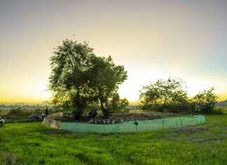 Ziraat Mühendisi Maaşları: Tarım ve Çevre Alanında Gelirler Ziraat Mühendisi Maaşları: Tarım ve Çevre Alanında Gelirler