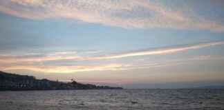 Ziraat Mühendisi Maaşları: Tarımsal Araştırmalar ve Çiftlik Yönetimi Ziraat Mühendisi Maaşları: Tarımsal Araştırmalar ve Çiftlik Yönetimi