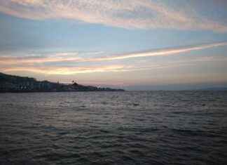 Ziraat Mühendisi Maaşları: Tarımsal Araştırmalar ve Çiftlik Yönetimi Ziraat Mühendisi Maaşları: Tarımsal Araştırmalar ve Çiftlik Yönetimi