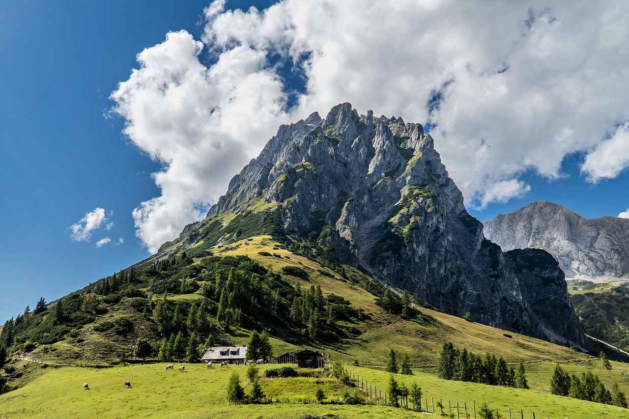 Abant Su Bayilik ve Franchise Seçenekleri 5 Sonuç ve Değerlendirme