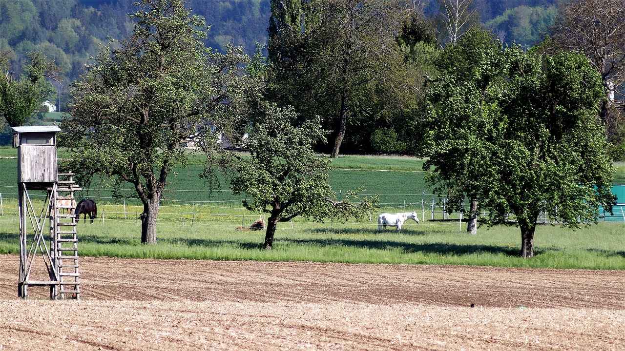 Aker Eşarp Nedir?