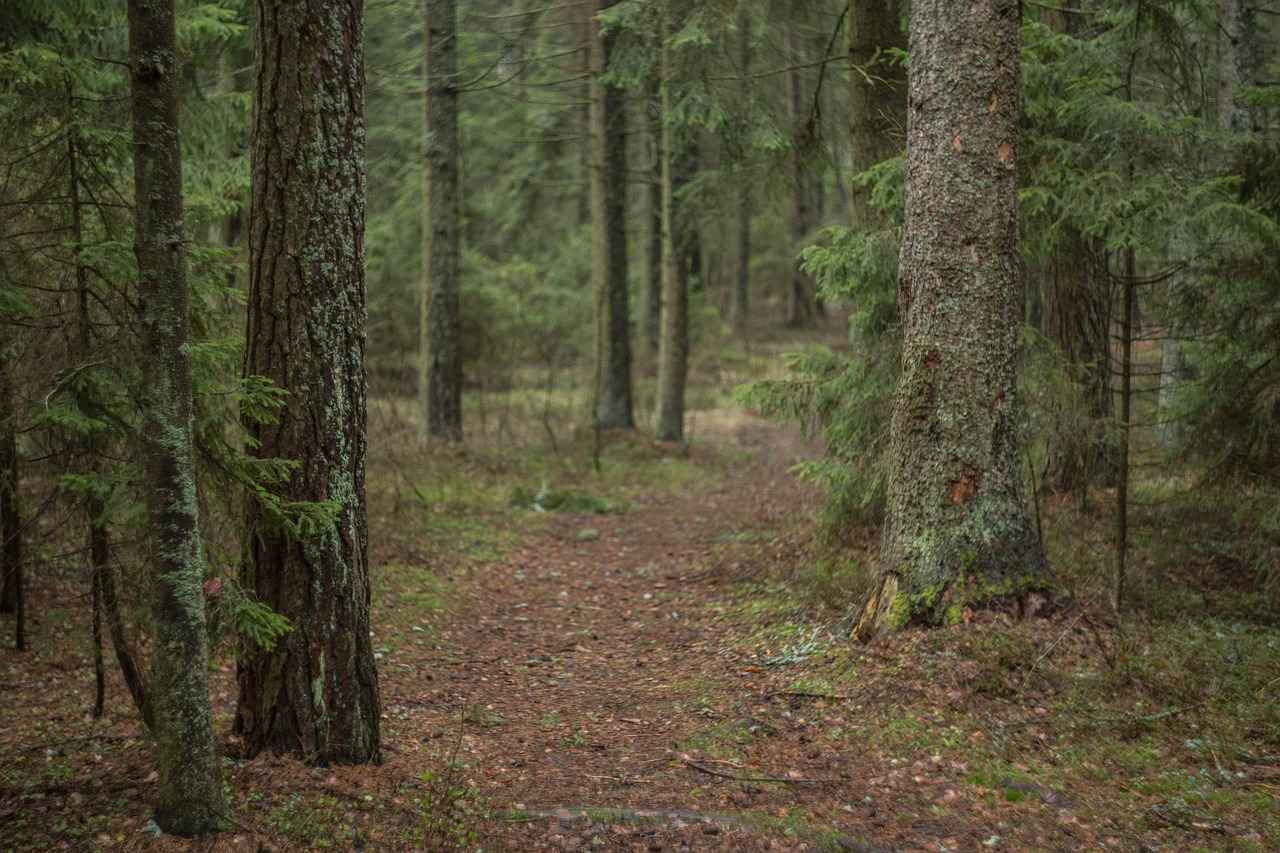 Başarılı Bayilik Hikayeleri