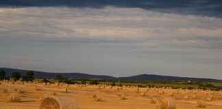 Burundi’de Asgari Ücret Fiyatları ve Göçmenler için En Popüler İş İmkanları Burundi’de Asgari Ücret Fiyatları ve Göçmenler için En Popüler İş İmkanları