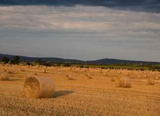 Burundi’de Asgari Ücret Fiyatları ve Göçmenler için En Popüler İş İmkanları Burundi’de Asgari Ücret Fiyatları ve Göçmenler için En Popüler İş İmkanları