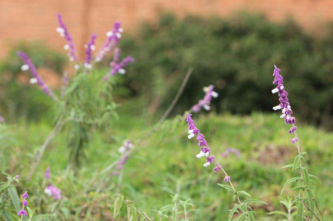 Asgari Ücret Nedir?
