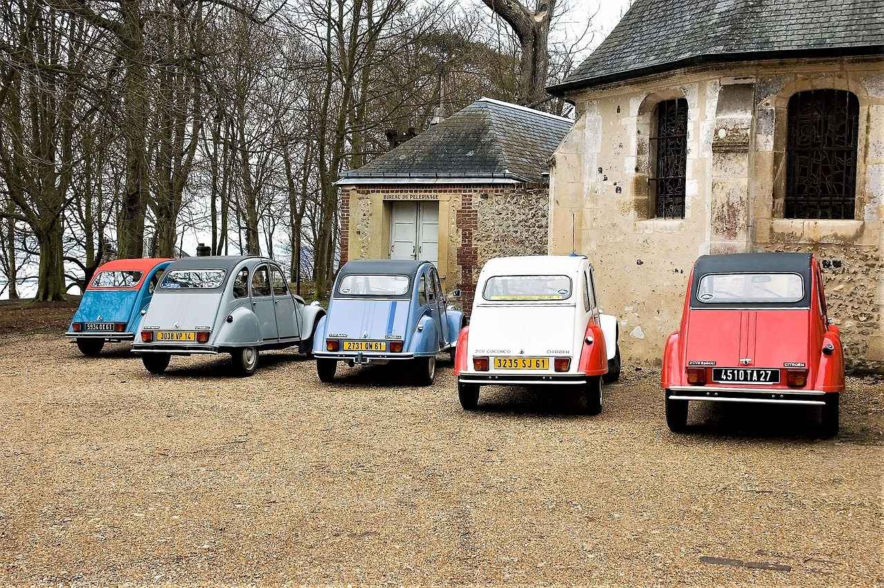 Citroen Ami Satış Süreci