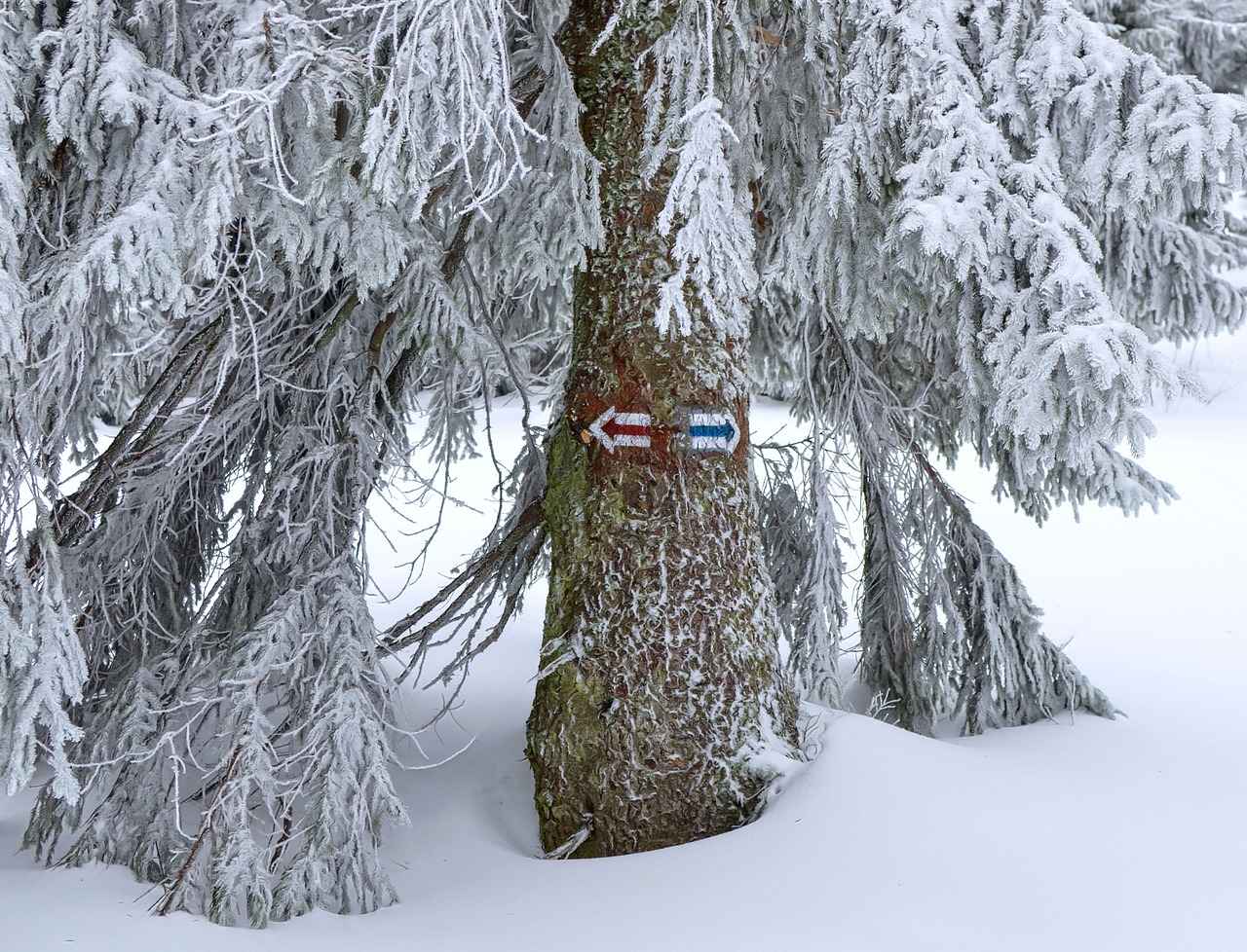 Franchise Sürecinin Aşamaları