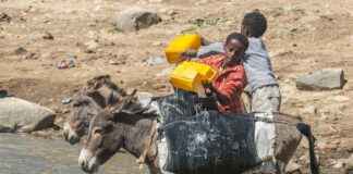 Eritre’de Asgari Ücret Fiyatları ve Göçmenler için En Popüler İş İmkanları Eritre’de Asgari Ücret Fiyatları ve Göçmenler için En Popüler İş İmkanları