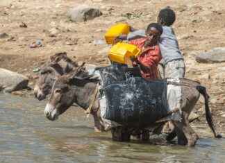 Eritre’de Asgari Ücret Fiyatları ve Göçmenler için En Popüler İş İmkanları Eritre’de Asgari Ücret Fiyatları ve Göçmenler için En Popüler İş İmkanları