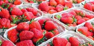 Estonya’da Asgari Ücret Fiyatları ve Göçmenler için En Popüler İş İmkanları Estonya’da Asgari Ücret Fiyatları ve Göçmenler için En Popüler İş İmkanları