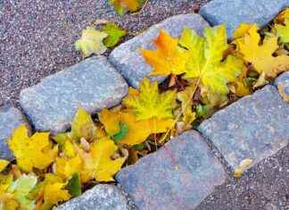 Finlandiya’da Asgari Ücret Fiyatları ve Göçmenler için En Popüler İş İmkanları Finlandiya'da Asgari Ücret Fiyatları ve Göçmenler için En Popüler İş İmkanları