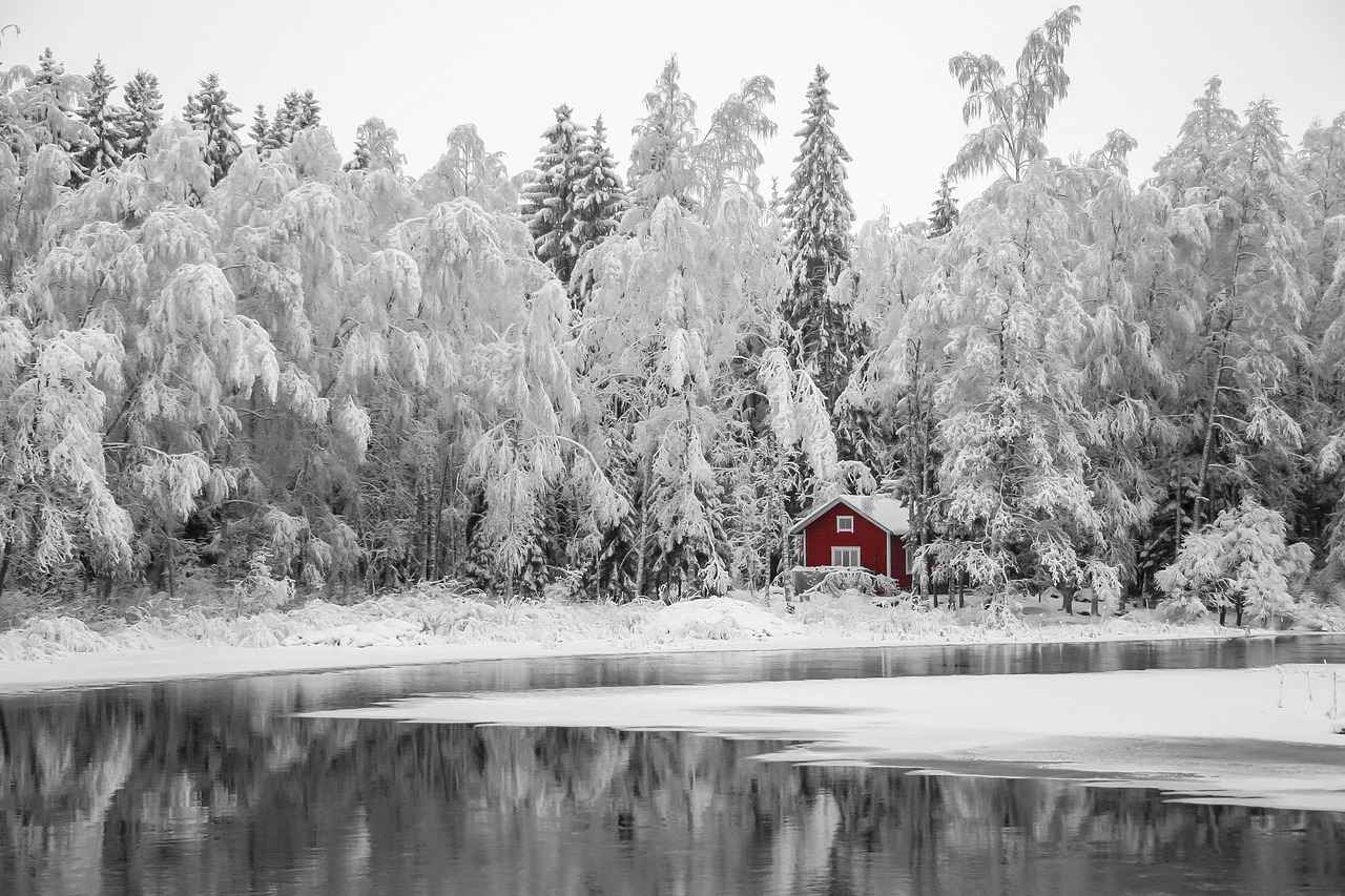 Finlandiya'da Asgari Ücret Fiyatları ve Göçmenler için En Popüler İş İmkanları 8 Göçmenlerin İş Bulma Başarı Oranı