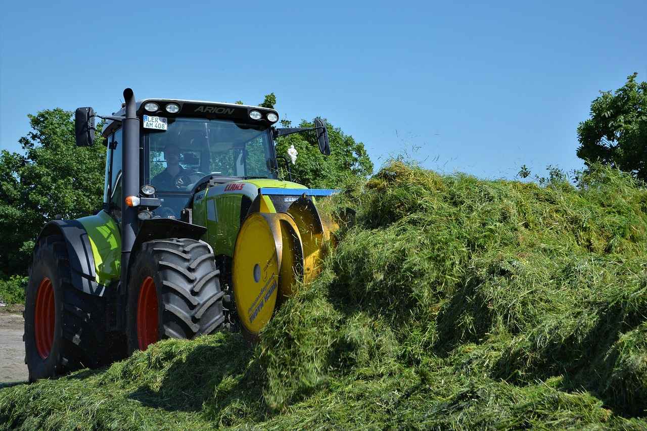 Gambiya’da Asgari Ücret Fiyatları ve Göçmenler için En Popüler İş İmkanları 1 Gambiya’da Asgari Ücret Nedir?