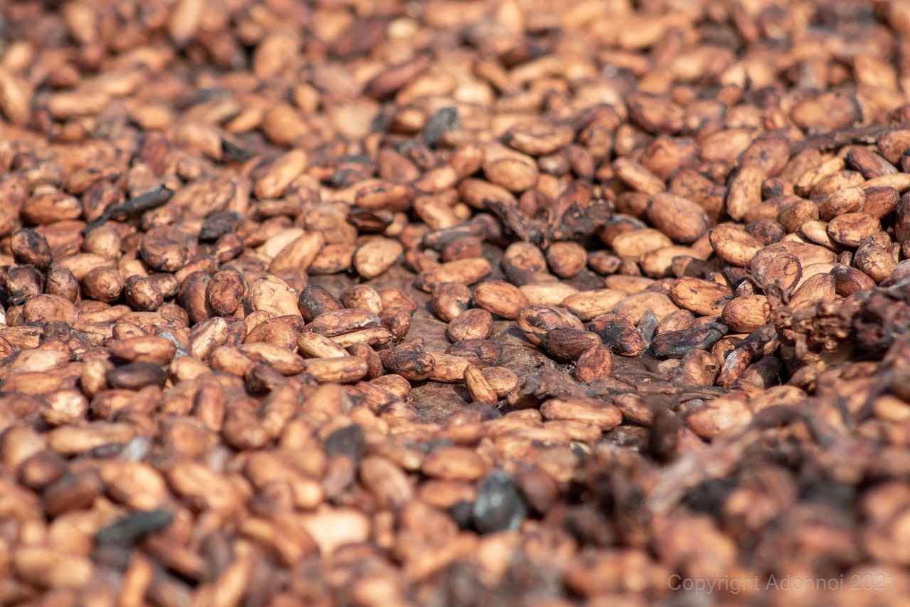 Göçmenler için Popüler İş Alanları