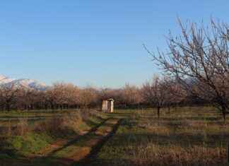 Ganyan Bayisi Açma Şartları ve İmkânları Ganyan Bayisi Açma Şartları ve İmkânları