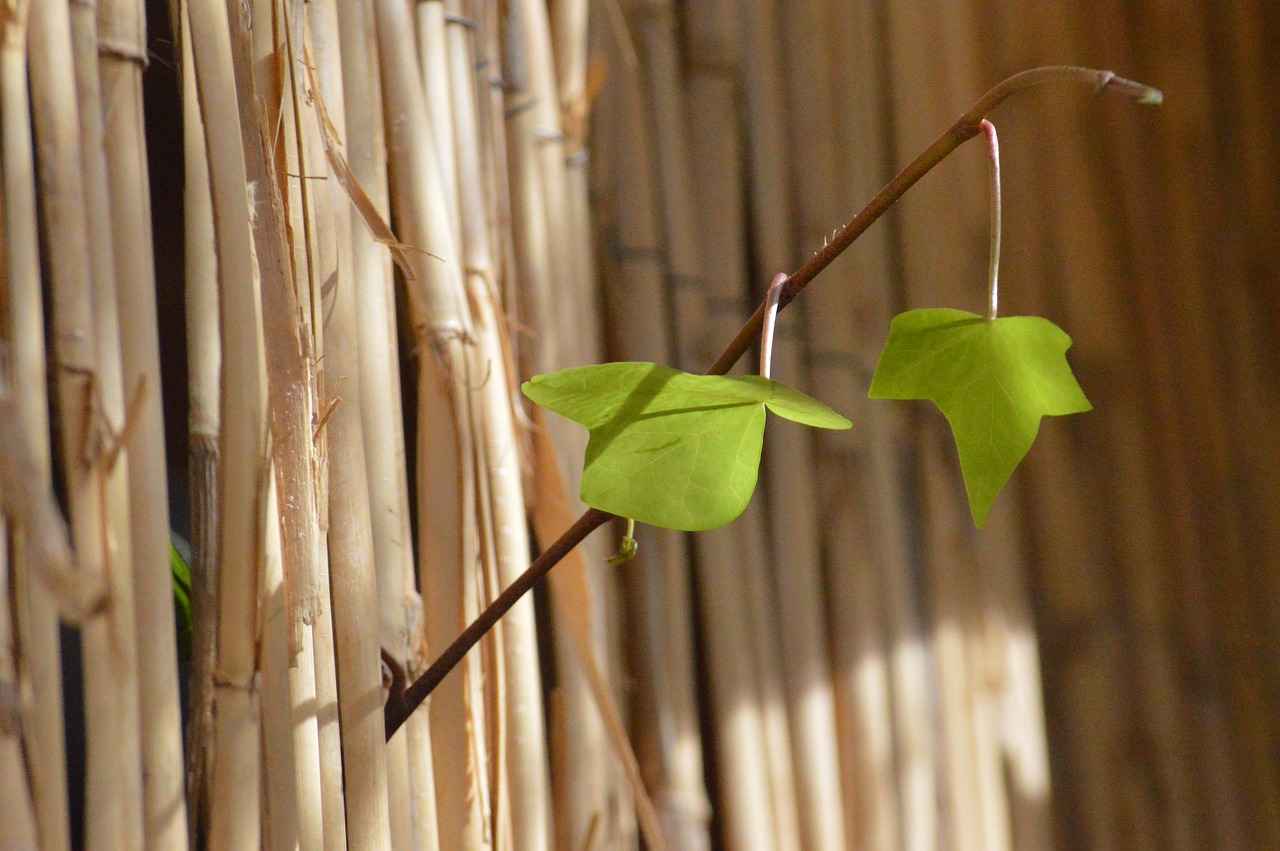 Success Stories of Greyder Franchisees