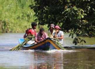 Guyana’da Asgari Ücret Fiyatları ve Göçmenler için En Popüler İş İmkanları Guyana'da Asgari Ücret Fiyatları ve Göçmenler için En Popüler İş İmkanları