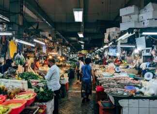 Haiti’de Asgari Ücret Fiyatları ve Göçmenler için En Popüler İş İmkanları Haiti'de Asgari Ücret Fiyatları ve Göçmenler için En Popüler İş İmkanları