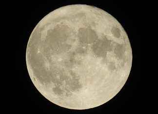 Happy Moon’s Bayilik ve Franchise İmkanları Happy Moon's Bayilik ve Franchise İmkanları