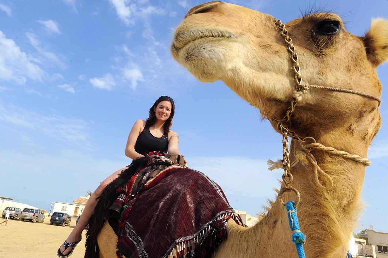 Irak’ta Asgari Ücret Fiyatları ve Göçmenler için En Popüler İş İmkanları 7 Irak’ta Çalışma Kültürü ve Ortamı