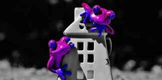 Jamaika’da Asgari Ücret Fiyatları ve Göçmenler için En Popüler İş İmkanları Jamaika'da Asgari Ücret Fiyatları ve Göçmenler için En Popüler İş İmkanları