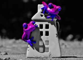 Jamaika’da Asgari Ücret Fiyatları ve Göçmenler için En Popüler İş İmkanları Jamaika'da Asgari Ücret Fiyatları ve Göçmenler için En Popüler İş İmkanları