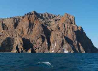 Karadağ’da Asgari Ücret Fiyatları ve Göçmenler için En Popüler İş İmkanları Karadağ’da Asgari Ücret Fiyatları ve Göçmenler için En Popüler İş İmkanları