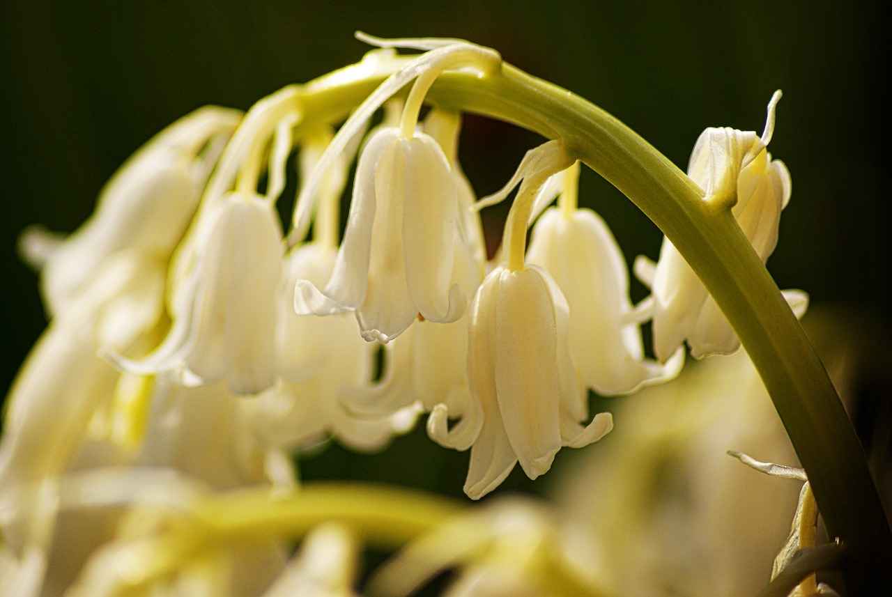 Kosova’da Asgari Ücret Fiyatları ve Göçmenler için En Popüler İş İmkanları 1 Asgari Ücret Nedir ve Kosova'da Ne Kadar?