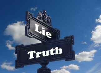 Marshall Boya Bayilik ve İş Ortağı Fırsatları Marshall Boya Bayilik ve İş Ortağı Fırsatları