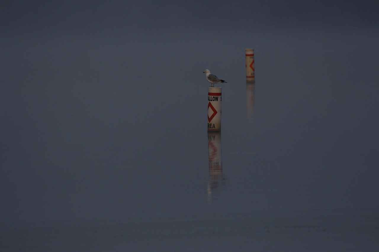 Pazarlama ve Reklam Desteği