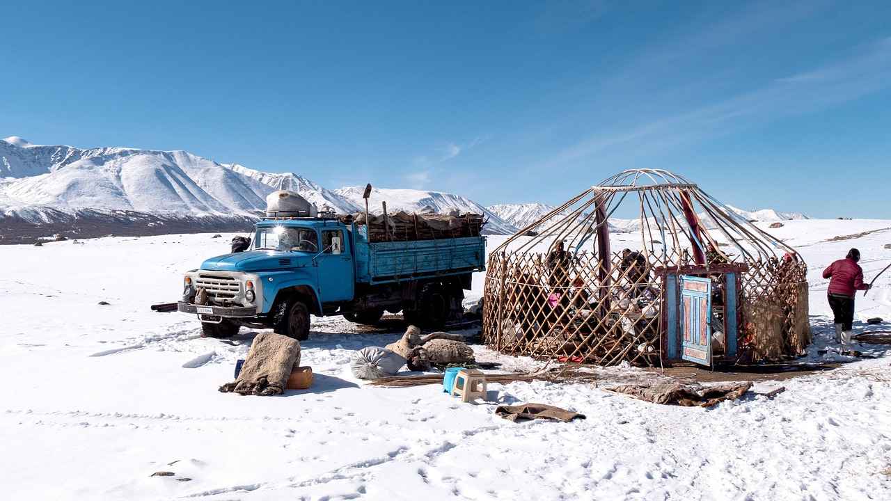 Moğolistan'da Çalışma İzinleri