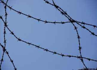 Mozambik’de Asgari Ücret Fiyatları ve Göçmenler için En Popüler İş İmkanları Mozambik’de Asgari Ücret Fiyatları ve Göçmenler için En Popüler İş İmkanları