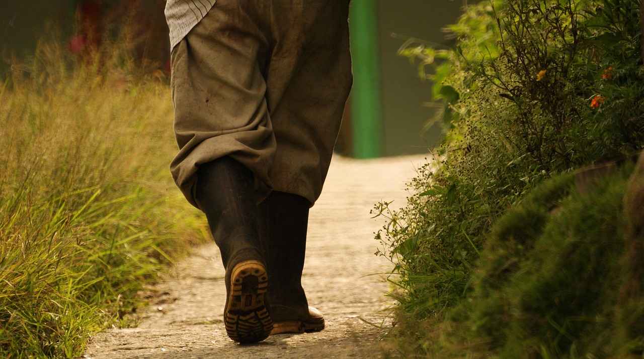 Mozambik’de Asgari Ücret Fiyatları ve Göçmenler için En Popüler İş İmkanları 4 Mozambik’te Çalışma İzni Süreçleri