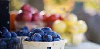 Nepal’de Asgari Ücret Fiyatları ve Göçmenler için En Popüler İş İmkanları Nepal’de Asgari Ücret Fiyatları ve Göçmenler için En Popüler İş İmkanları