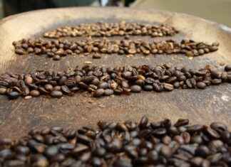 Panama’da Asgari Ücret Fiyatları ve Göçmenler için En Popüler İş İmkanları Panama'da Asgari Ücret Fiyatları ve Göçmenler için En Popüler İş İmkanları