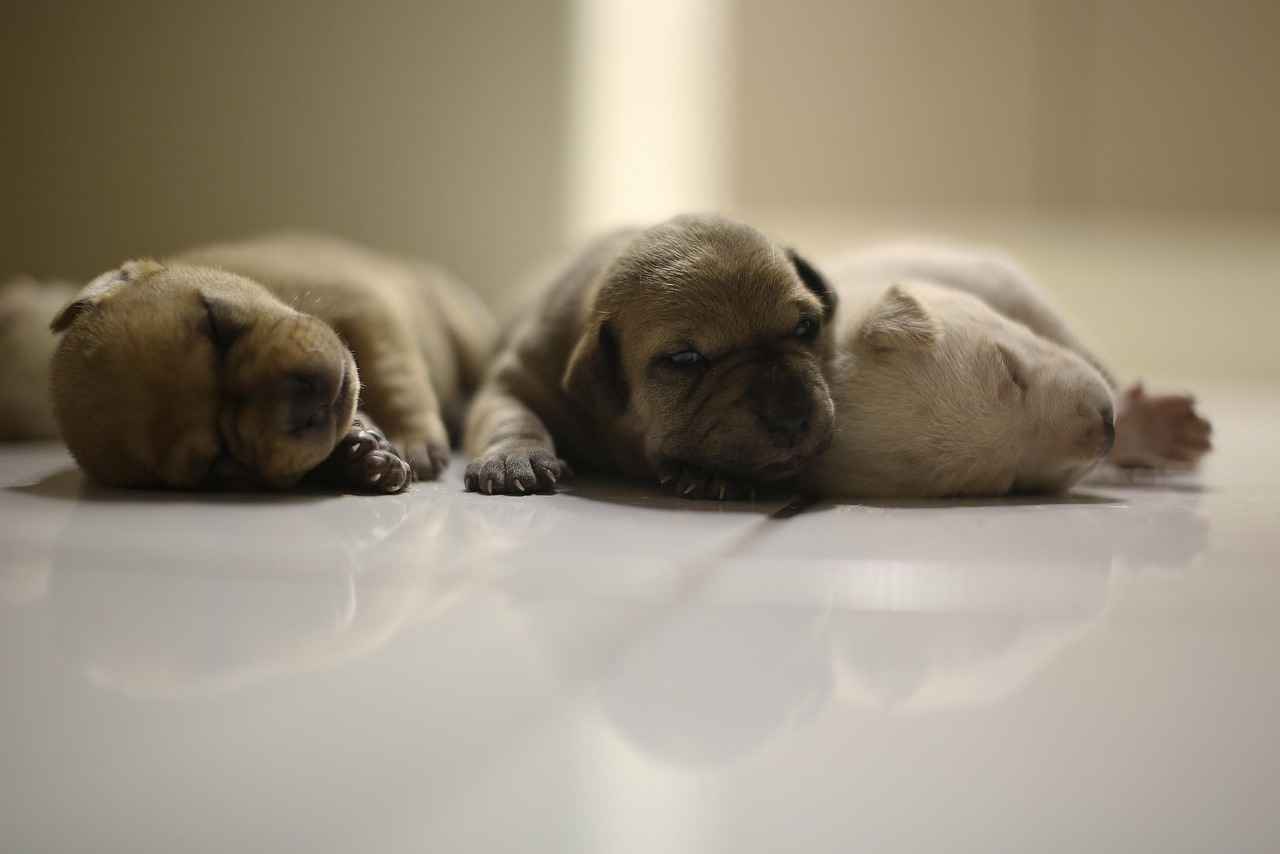 Asgari Ücret Nedir?