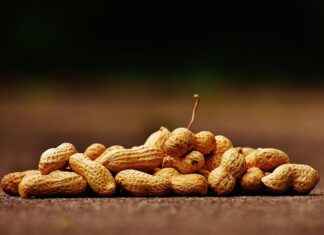 Peanut Waffle Bayilik ve Franchise İmkânları Peanut Waffle Bayilik ve Franchise İmkânları