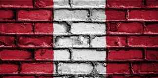 Peru’da Asgari Ücret Fiyatları ve Göçmenler için En Popüler İş İmkanları Peru’da Asgari Ücret Fiyatları ve Göçmenler için En Popüler İş İmkanları