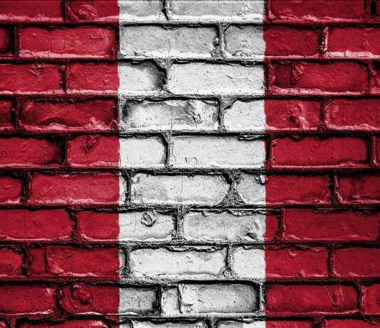 Peru’da Asgari Ücret Fiyatları ve Göçmenler için En Popüler İş İmkanları Peru’da Asgari Ücret Fiyatları ve Göçmenler için En Popüler İş İmkanları