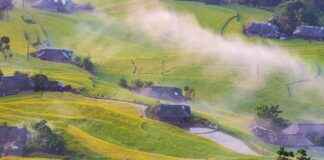 Saka Su Bayilik ve Franchise İmkânları Saka Su Bayilik ve Franchise İmkânları