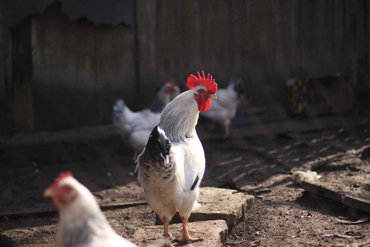 Asgari Ücretin Güncel Tutarı
