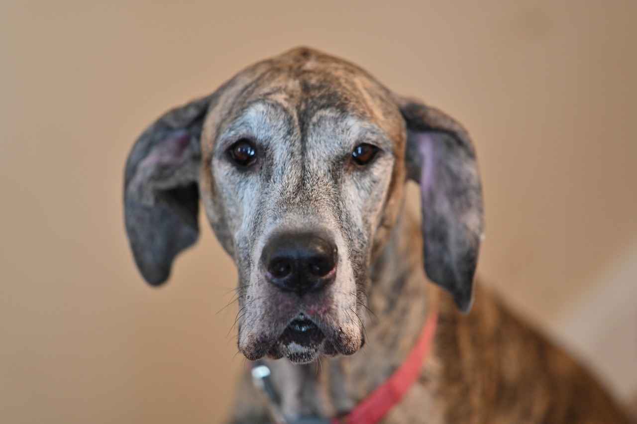 Şili’de Asgari Ücret Fiyatları ve Göçmenler için En Popüler İş İmkanları 5 İş Bulma Sürecinde Dikkat Edilmesi Gerekenler