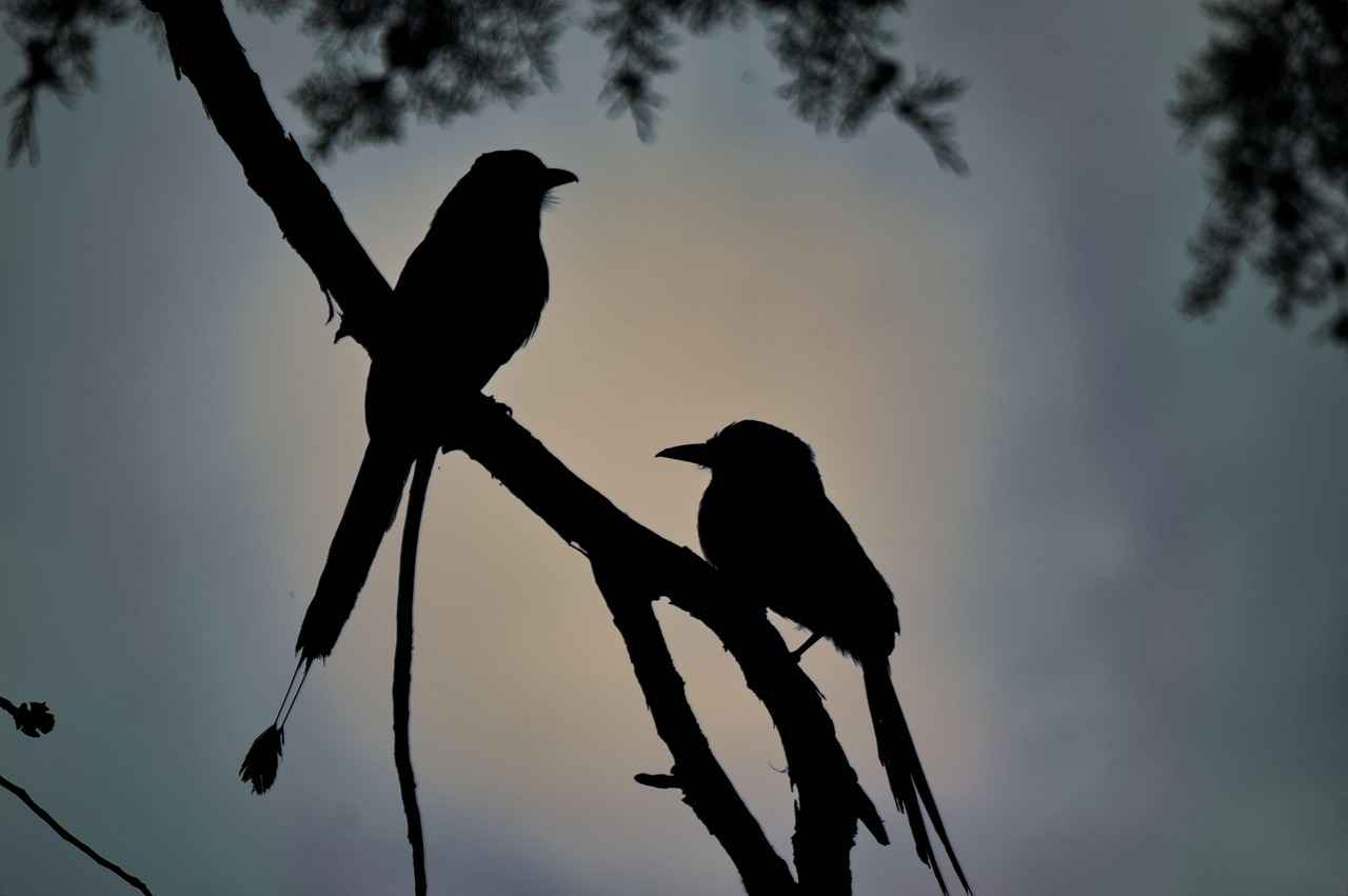 Şili’de Asgari Ücret Fiyatları ve Göçmenler için En Popüler İş İmkanları 9 Şili’de İş Bulmanın Avantajları