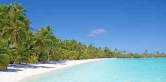 Solomon Adaları’nda Asgari Ücret Fiyatları ve Göçmenler için En Popüler İş İmkanları Solomon Adaları'nda Asgari Ücret Fiyatları ve Göçmenler için En Popüler İş İmkanları